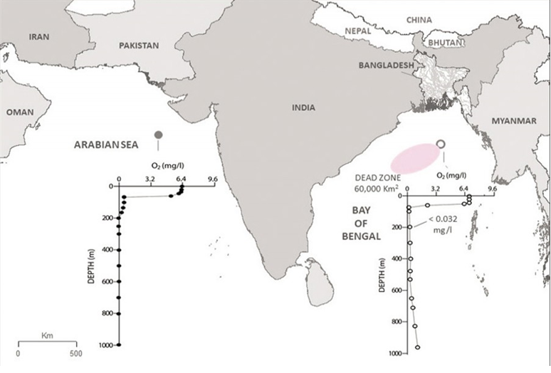 Dead Zone in Bay of Bengal is a Concern