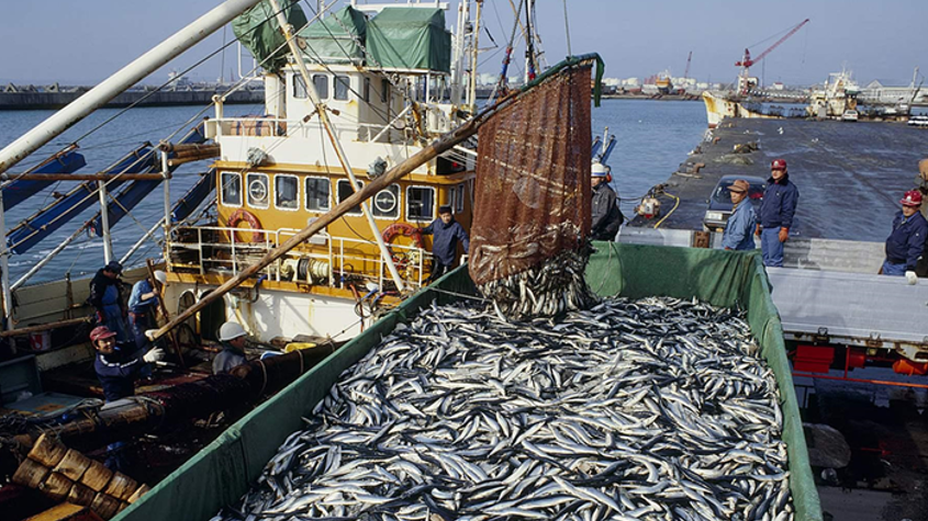IUU Fishing: ‘Policy, Regulation and Management System’ Gap Identification and Possible Intervention in the Context of Bangladesh