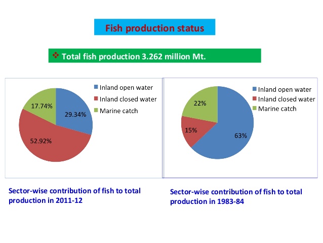 Opportunities to Improve Fisheries Management through Innovative Technologies and Advanced Data Systems in the Bay of Bengal