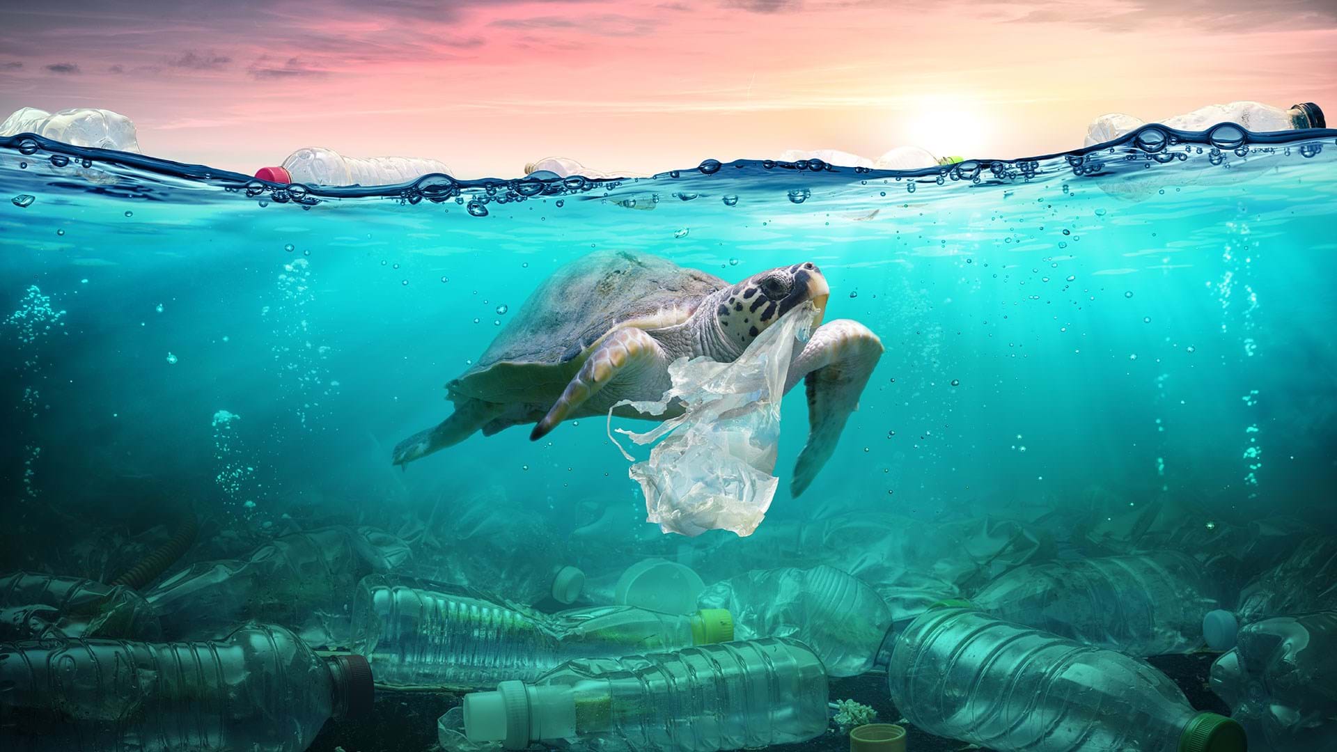 Marine Pollution by Plastic: Menace to the Marine Environment