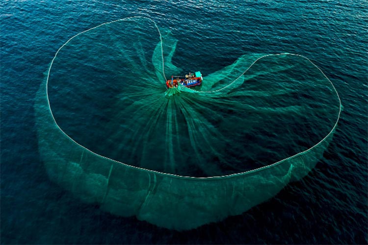 Illegal Fishing Must be Stopped to Save Our Marine Biodiversity